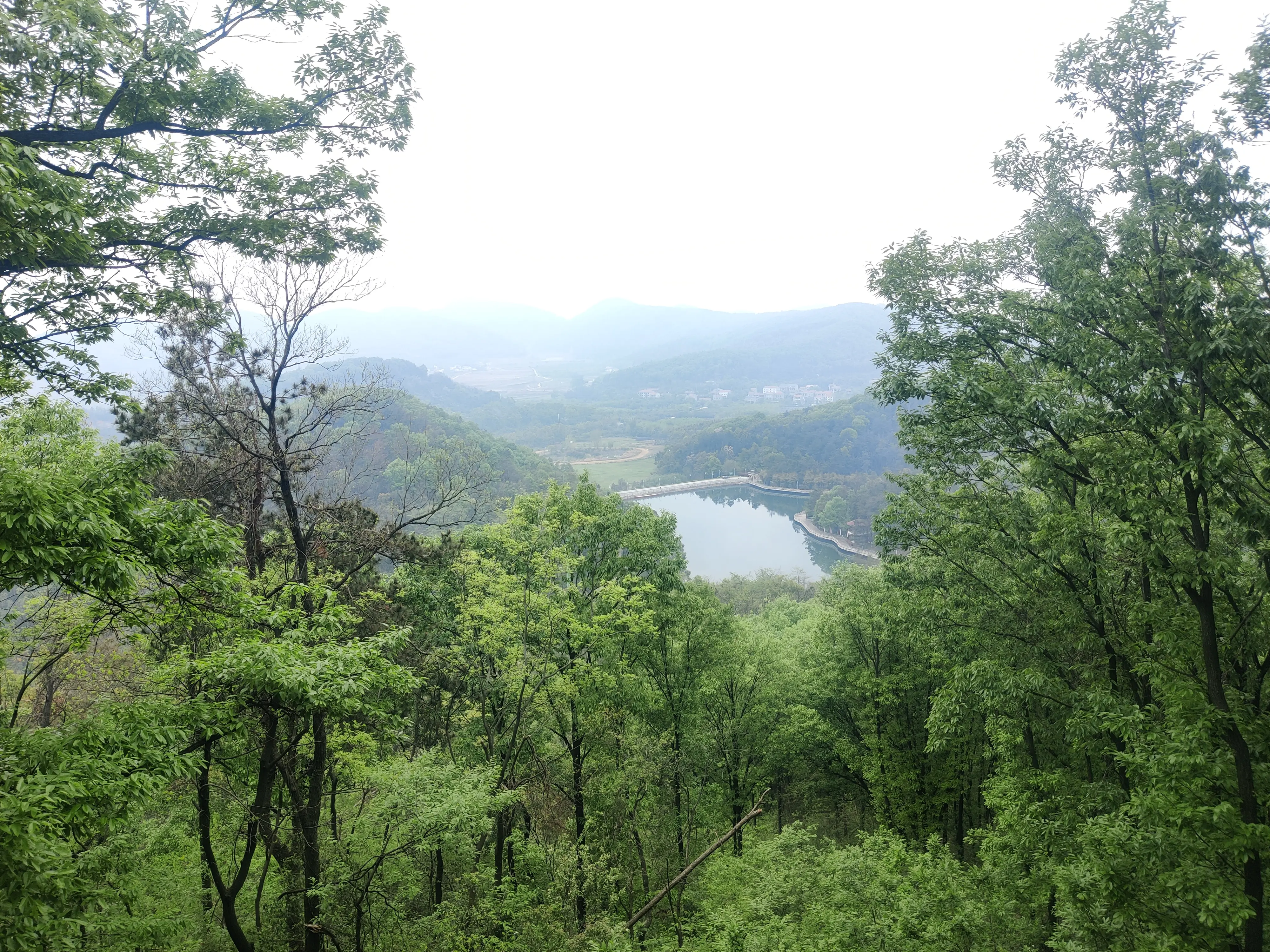 IMG_20240407_125017.webp