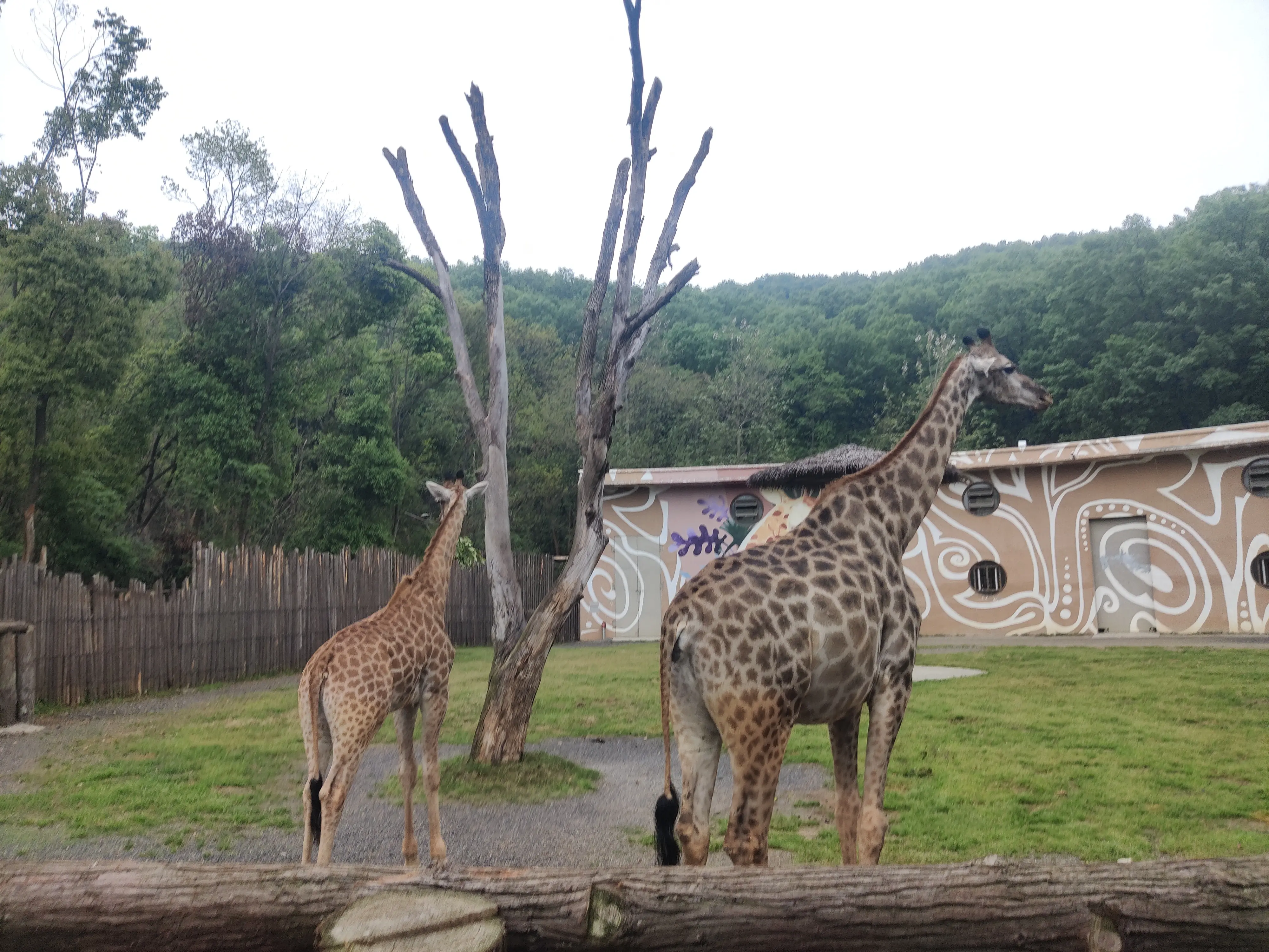 IMG_20240411_131159.webp